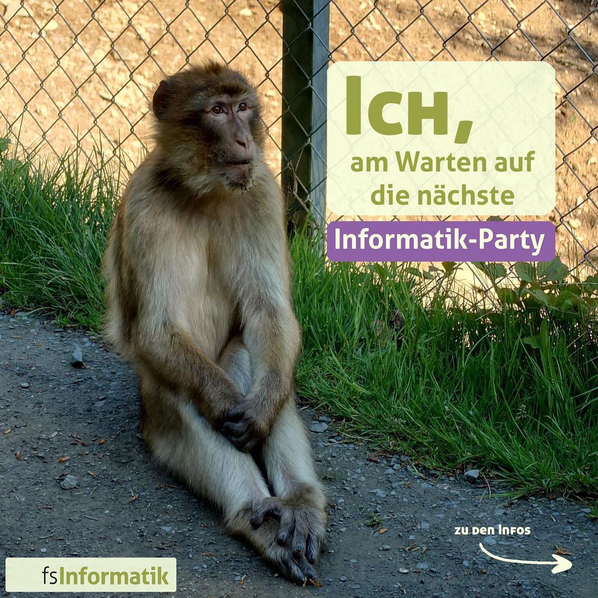 Frühlingsgrillen 2023 – Foto 1